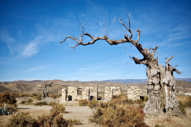 El desierto de Tabernas [05/14]