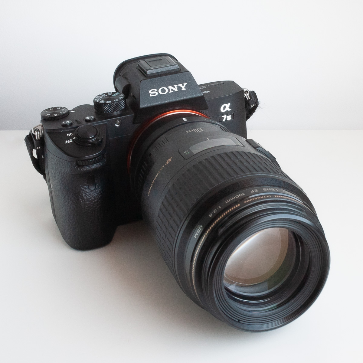 Adaptador Sigma MC-11 montado en una Sony A7 III y la lente Canon 100mm Macro